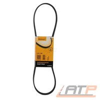 Continental Ctam Keilrippenriemen U.A. FüR Alfa Romeo, Audi, Bmw, Honda, KIA