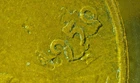 WORLD COIN SALE-1950 S UNITED STATES 1c. WHEATBACK LAMINATION ERROR COIN KM#A132