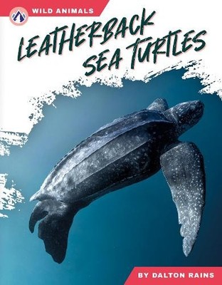 Dalton Rains Leatherback Sea Turtles (Gebundene Ausgabe) (US IMPORT)