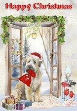Soft Coated Wheaten Terrier Dog A6 (4" x 6") Christmas Card - Blank inside