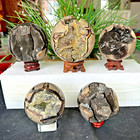 Top! Natural turtle shell stone logo crystal cave, feng shui healing 10.5Lb4800g