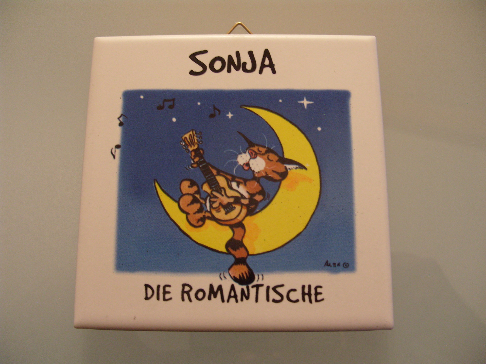 Bild 19 von 64