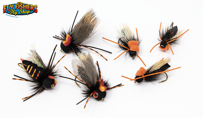 cicada fly fishing lure Cicada Fishing Flies 6 Pack