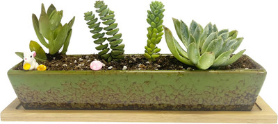 Succulent Planter Pot, Green Long Rectangle Ceramic Succulent Planter Pots,Mi...
