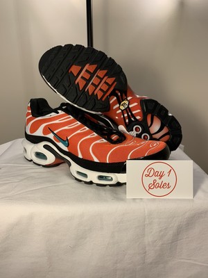 air max plus team orange neptune green