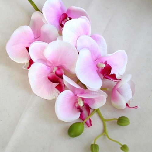 2X Künstliche Schmetterling Orchidee Gefälschte Phalaenopsis Seidenblume Home Hochzeit Dekor - Bild 16 von 22