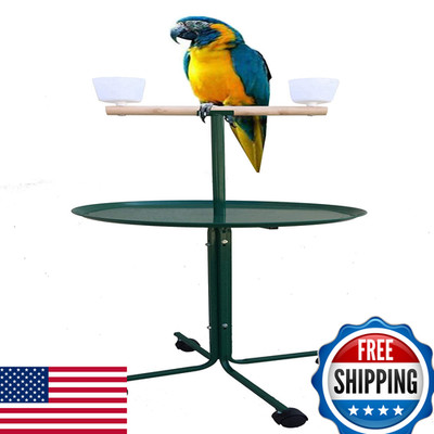 Mcage Large 23 Play T-Stand Perch Metal Base Parrot Bird Cage Retailer African