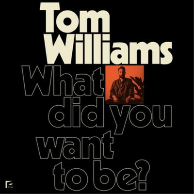 Tom Williams What Did You Want to Be? (Vinyl) 12'' Album