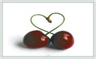 Bild 160 von 239