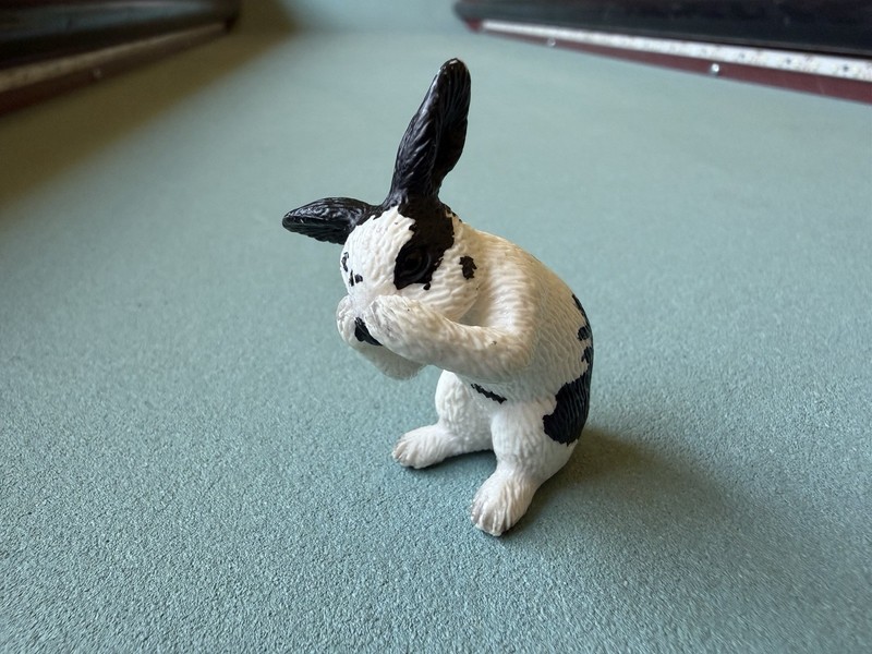 Schleich 2010 Grooming Bunny Figure Black White Farm Rabbit 13698 Retired Toy