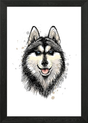 Der siberische Husky gerahmtes Wandbild Poster Leinwanddruck Bild