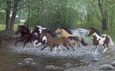 Ceramic Backsplash Tile Mural Horse Animal Kitchen/Bathroom - Free Spirits