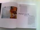 Bild 7 von 8