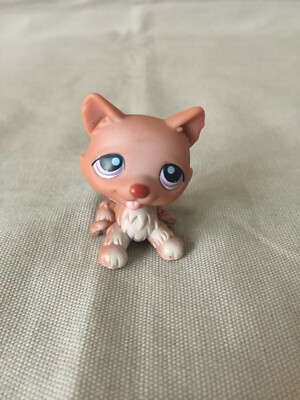 Littlest Pet Shop Brown Pink and Lavender Eyes Sitting Husky Dog