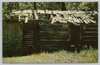 Grudgeons Cabin Gila Wilderness NM Postcard West Fork Pioneer History