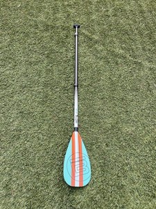 Werner Sup Paddle | eBay
