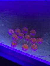 1 Dozen 12 Vintage Selenium Marbles Glows Orange / Pink UV Reactive