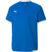 Koszulka Puma Teamliga Jersey Jr 704925 02 - 140Cm Puma