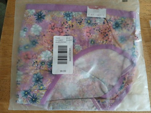 Lane Bryant 18/20 Set 2 Cotton Hipster Panties Wh Multi/Pale Purple Floral NEW - Picture 5 of 5