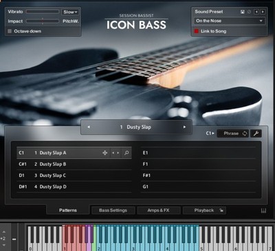 Native Instruments Session Bassist - Icon Bass 