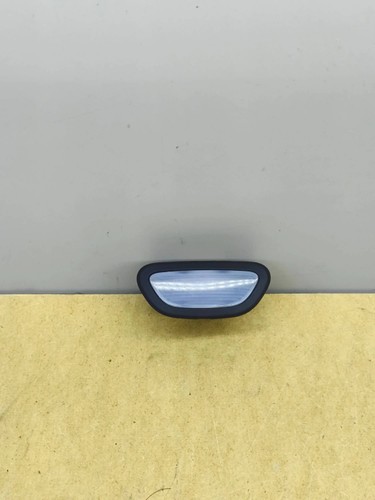 Door interior light