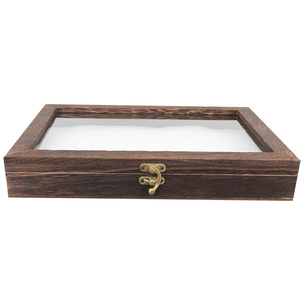 showcase for specimen display Storage Box Wooden Specimen Box Specimen Display eBay