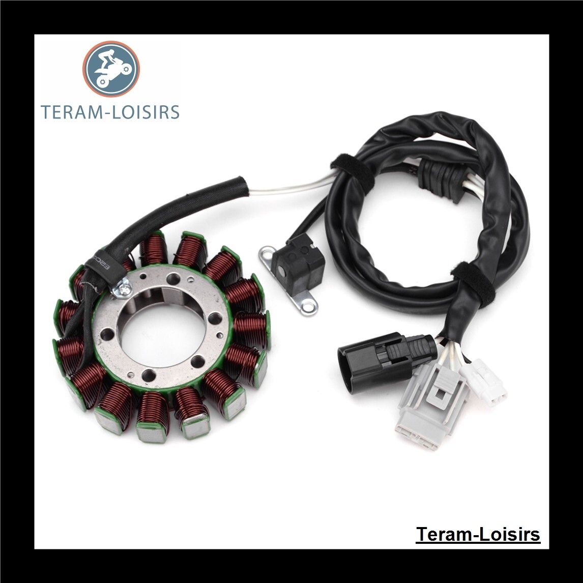Stator alternateur Yamaha YXR 700 Rhino 2008 2009 2011 2012 2013 pièce allumage