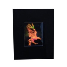3D Eagle Matted Hologram Picture, Collectible  Embossed Type Film