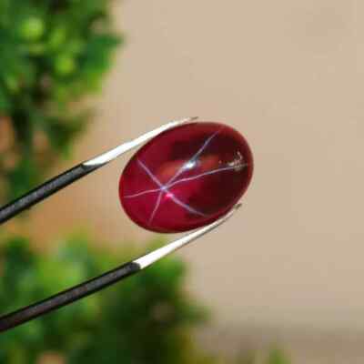 10 Ct 6 Rays Natural Red Star Ruby Oval Cabochon Certified Loose Gemstone