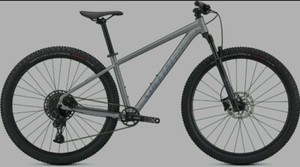 Specialized Rockhopper Expert 29