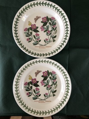 2 x Portmeirion Botanic Garden Teeteller Rhododendron 7,25'' unbenutzt, makellos
