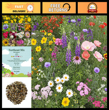 Wildflower Seeds Northeast Mix - Non-GMO, Full Sun, 1 lb for Garden & Landscapin 79.99 per gallon