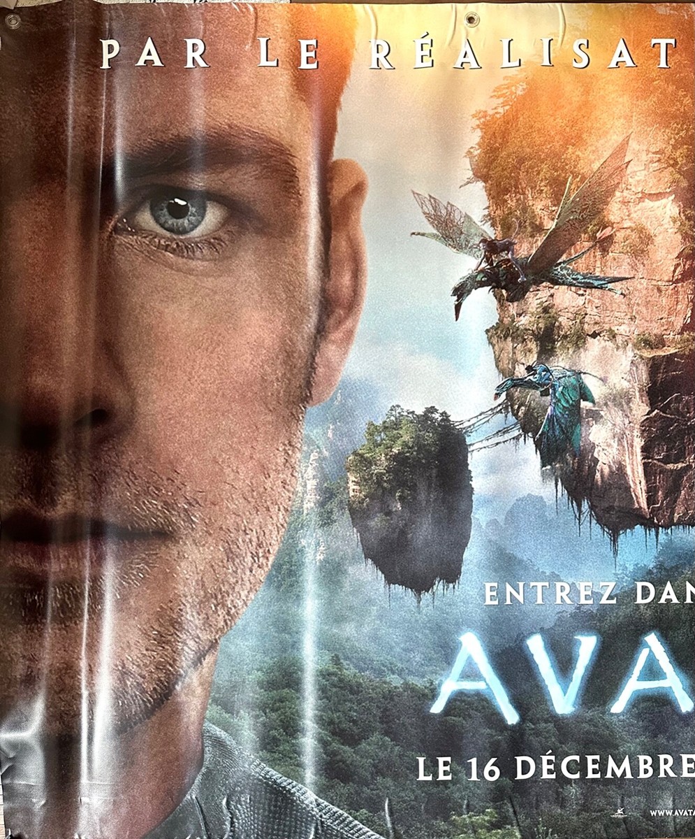 AVATAR FRENCH GRANDE POSTER SAM WORTHINGTON ZOE SALDANA 2009
