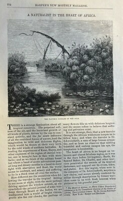 1874 Dr. Georg Schweinfurth Naturalist in Africa Nile River  illustrated