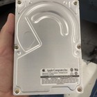 Quantum Apple ProDrive LPS 250 MB 3,5" SCSI HDD Vintage Apple Festplatte