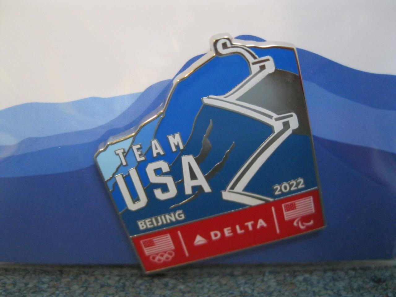 Beijing 2022 Olympics Team USA Panda Mascot Pin