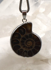 Grand Pendentif Ammonite