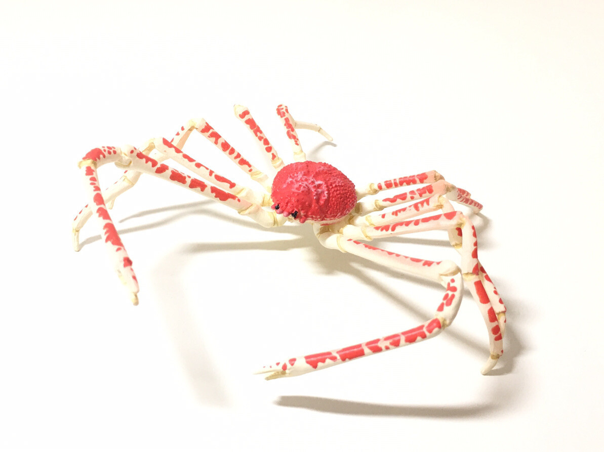 RED SPIDER パラダイス・ミックス ボリューム 1 RED SPIDER パラダイス・ミックス ボリューム 1 RED SPIDER