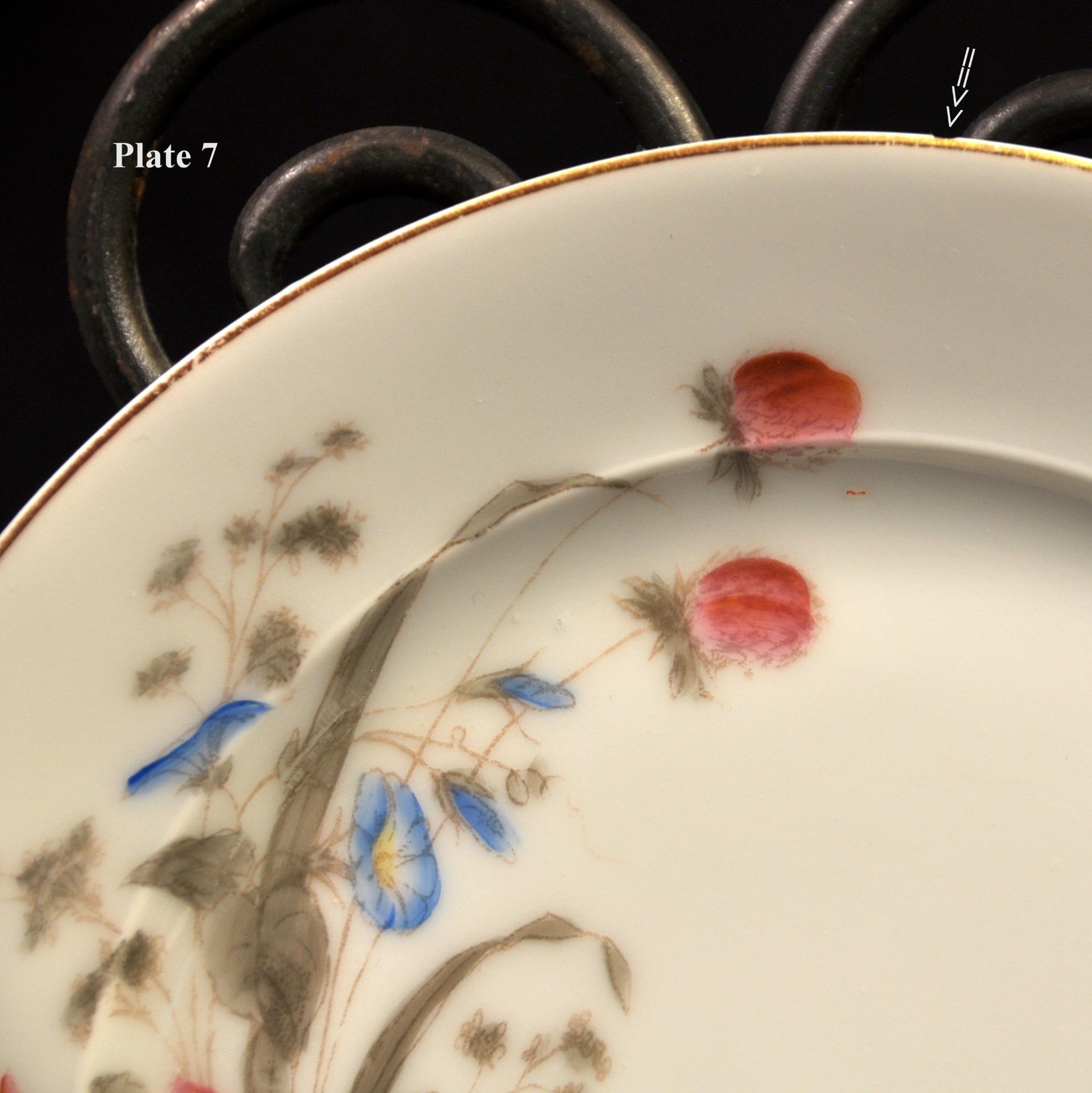 CFH Charles Field Haviland Limoges Set 7 Salad Plates Wild Flowers 1868-1881 HTF