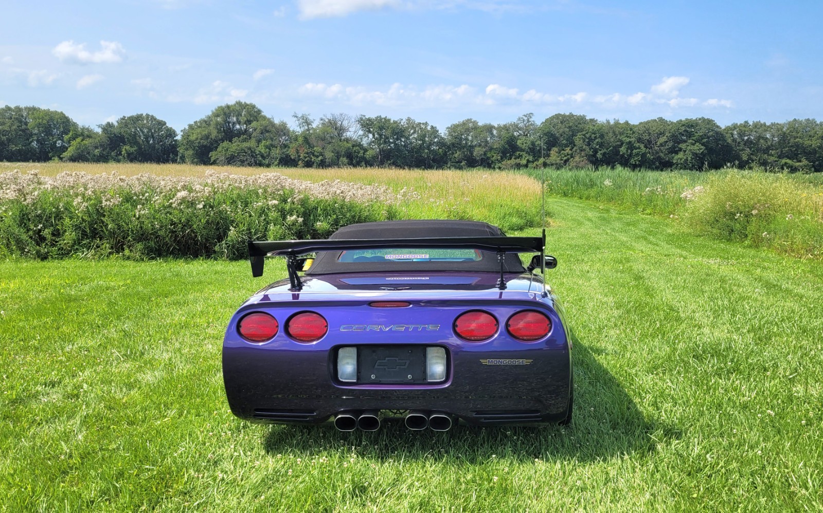 1998 Purple Chevrolet Corvette   | C5 Corvette Photo 3