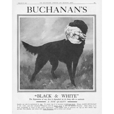 BUCHANAN'S schwarz weißer Whisky Hund mit Vogelmotiv - antike Werbung 1923