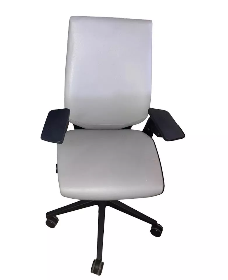 Gesture Ergonomic Office & Desk Chair