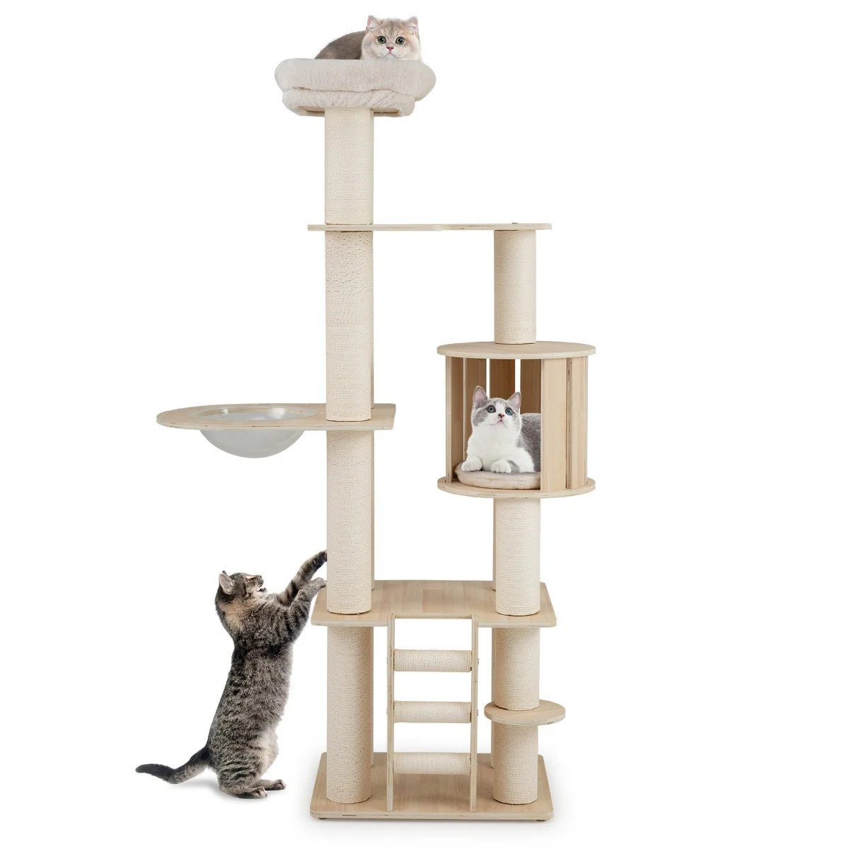 Arbre à chat stable de 185 cm avec plateformes d'observation et grande niche