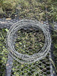 Barb Wire