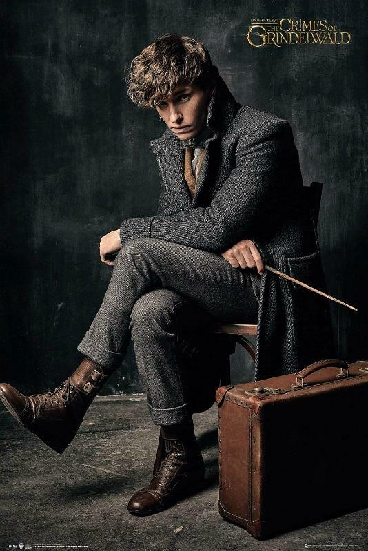 Fantastic Beasts 2 : Newt Scamander - Maxi Poster 61 x 91.5 cm new and sealed