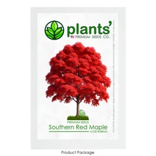 Southern Red Maple Tree | Premium Seeds | Acer rubrum 'Fall' | Plants'®