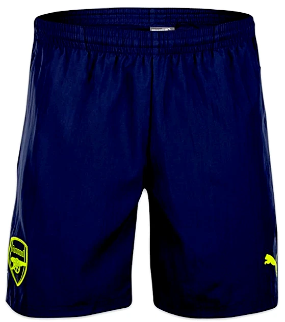 Puma shorts mens 2016 hot sale