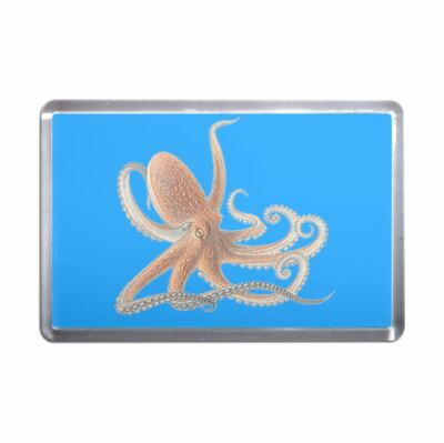 Octopus Kunststoff Kühlschrankmagnet (S, M, L, XL)
