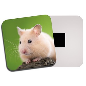 Adorable Hamster Fridge Magnet Rodent Mouse Pet Cute Rat Kids Cool Gift 77 Ebay