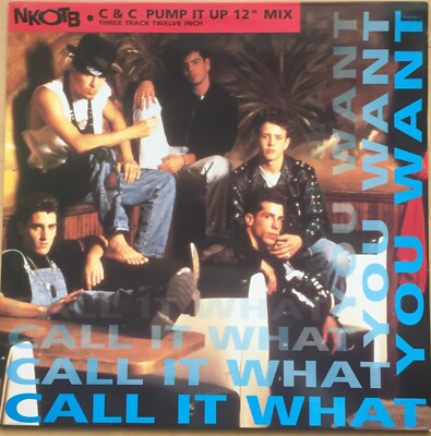 NEW KIDS ON THE BLOCK CALL IT WANT YOU WANT 1991 COLUMBIA VINYL 12 '' 656785 5